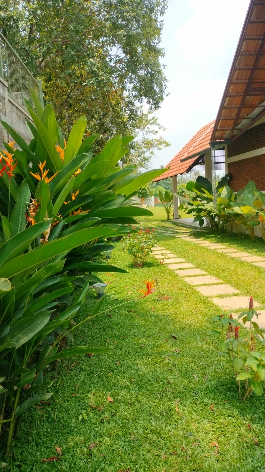 Residential Construction